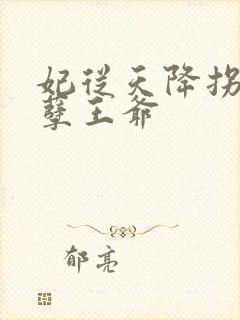 妃从天降拐个妖孽王爷