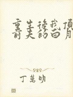 重生后我顶替了前夫的白月光txt