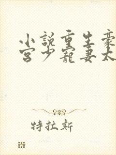 小说重生豪门:宫少宠妻太凶猛