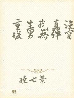 重生我真没想当暖男无弹窗