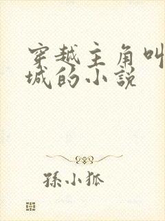 穿越主角叫张宏城的小说