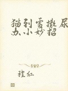 猫到处撒尿怎么办小妙招