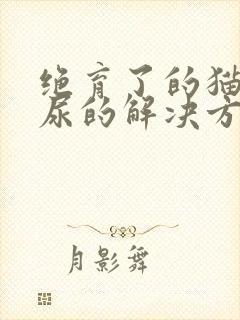 绝育了的猫咪乱尿的解决方法