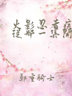 火影忍者疾风传从哪一集开始