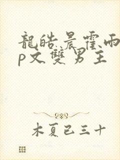 龙皓晨霍雨浩cp文双男主