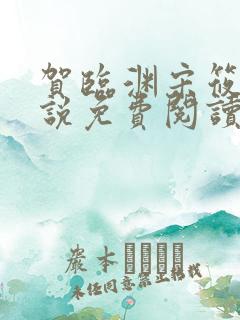 贺临渊宋筱宁小说免费阅读最新章节