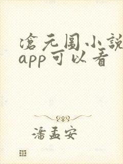 沧元图小说那个app可以看
