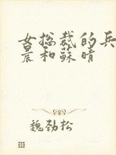 女总裁的兵王萧晨和苏晴