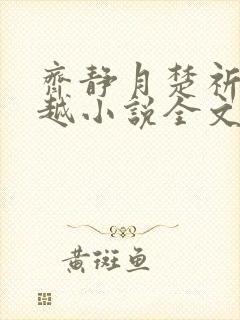 齐静月楚祈瑞穿越小说全文免费阅读