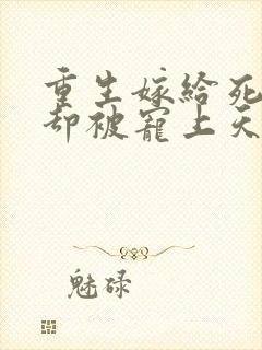 重生嫁给死对头却被宠上天短剧全集