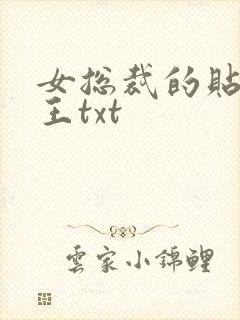 女总裁的贴身兵王txt