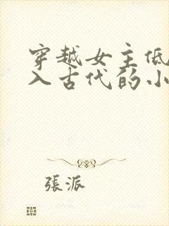 穿越女主低调融入古代的小说