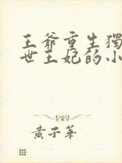 王爷重生独宠前世王妃的小说