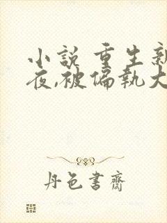 小说 重生新婚夜,被偏执大佬亲疯了