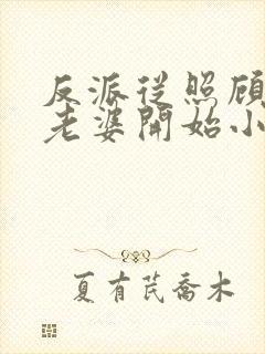 反派从照顾主角老婆开始小说