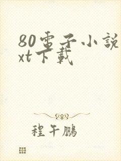 80电子小说txt下载