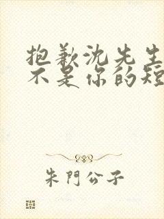 抱歉沈先生孩子不是你的短剧在线观看