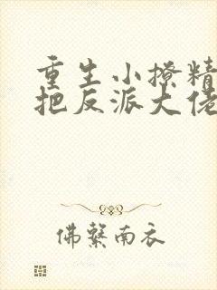 重生小撩精,我把反派大佬宠娇了 知之