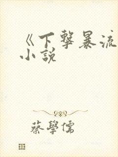 《下击暴流》 小说