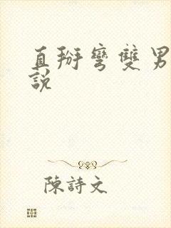 直掰弯双男主小说