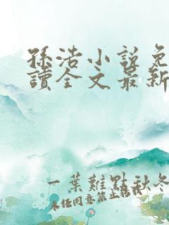 孙浩小说免费阅读全文最新章节