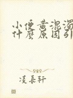 小便黄混浊男性什么原因引起的