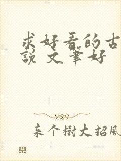 求好看的古言小说 文笔好