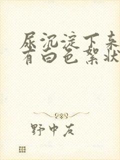 尿沉淀下来底下有白色絮状沉淀物