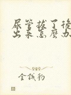 尿管拔了后尿不出来怎么办