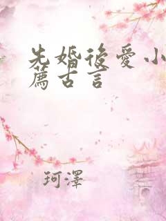 先婚后爱小说推荐古言