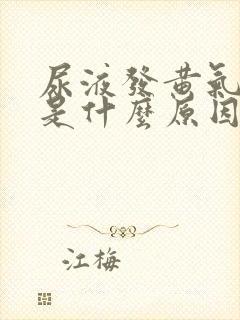 尿液发黄气味重是什么原因