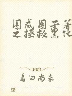 圈成团子著快穿之拯救黑化boss男主