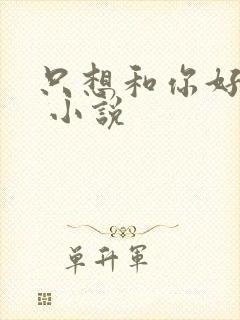 只想和你好好的 小说