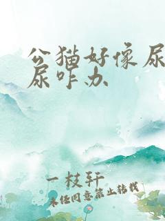 公猫好像尿不出尿咋办