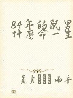 84年的鼠男是什么命一生婚姻状况