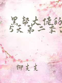 黑帮大佬的365天第二季高清免费