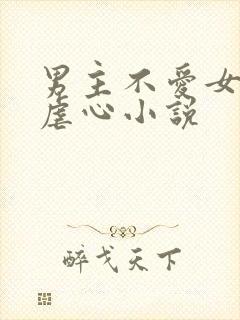 男主不爱女主的虐心小说