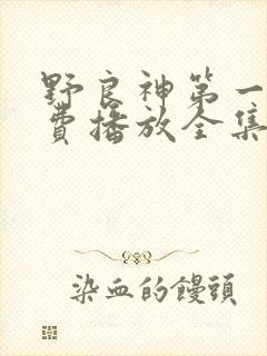 野良神第一季免费播放全集