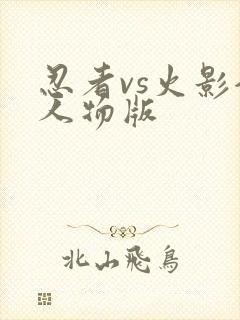 忍者vs火影全人物版