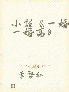 小说《一婚还比一婚高》
