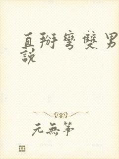 直掰弯双男主小说