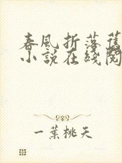 春风折落旧蔷薇小说在线阅读