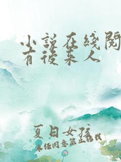 小说在线阅读还有后来人