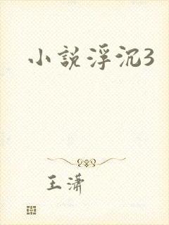 小说浮沉3