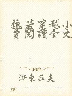 魏若穿越小说免费阅读全文无弹窗