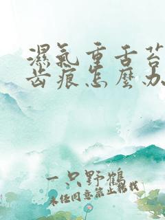 湿气重舌苔厚有齿痕怎么办