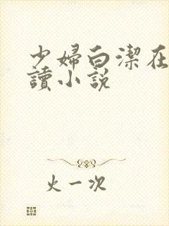 少妇白洁在线阅读小说