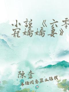 小说 《六零独宠娇娇妻》