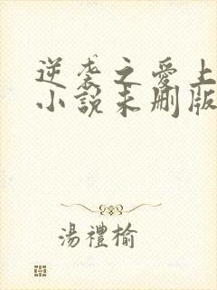 逆袭之爱上情敌小说未删版