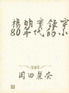 杨明实录穿越到80年代的小说